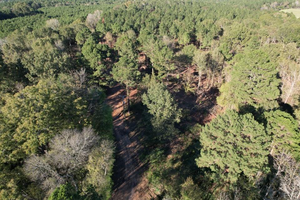 TBD County Road 4484, Tenaha, Texas image 9