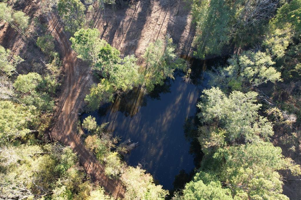 TBD County Road 4484, Tenaha, Texas image 1