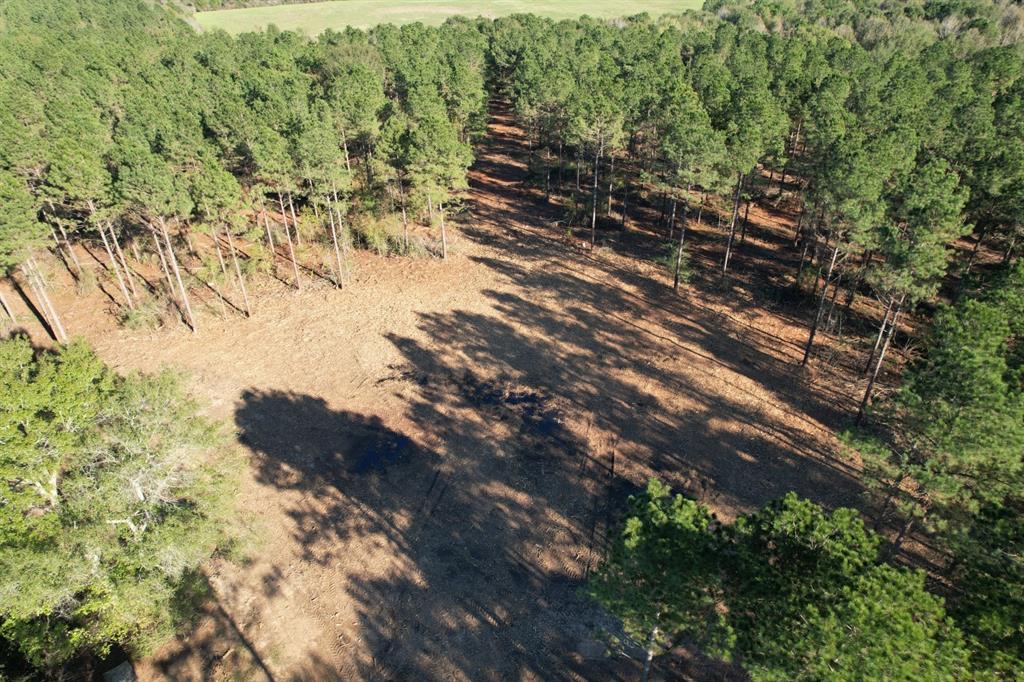 TBD County Road 4484, Tenaha, Texas image 7