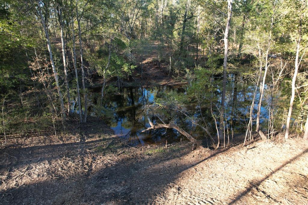 TBD County Road 4484, Tenaha, Texas image 12