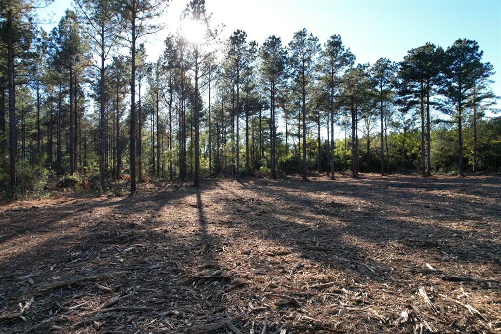 TBD County Road 4484, Tenaha, Texas image 16