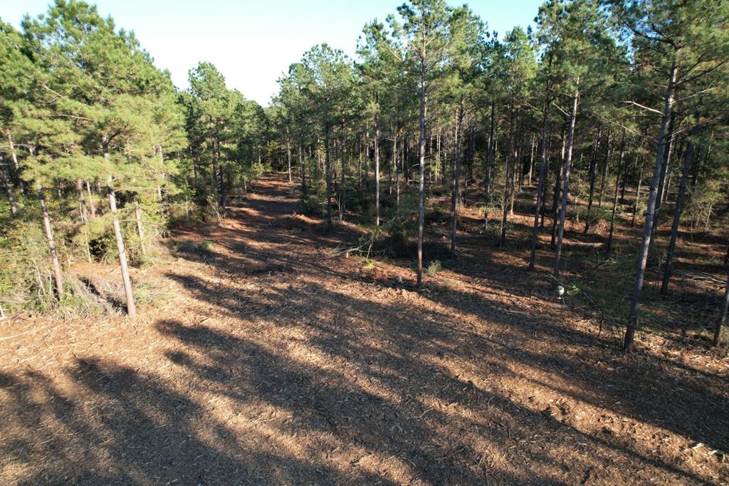 TBD County Road 4484, Tenaha, Texas image 34