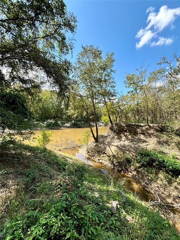 TBD County Road 12, Zavalla, Texas image 9