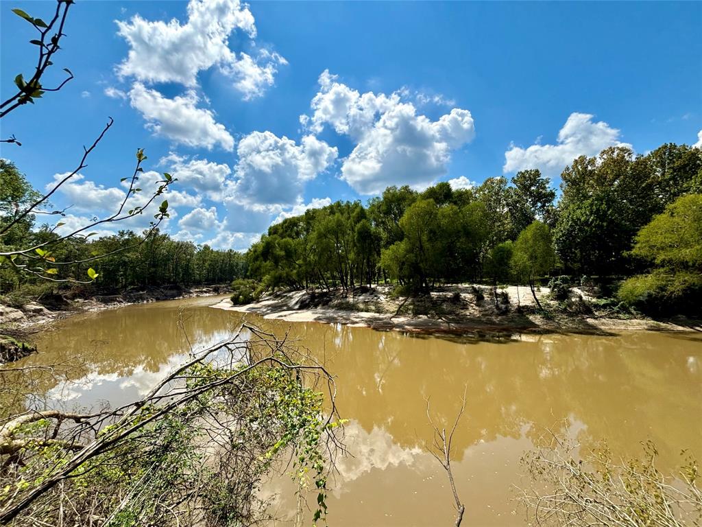 TBD County Road 12, Zavalla, Texas image 3