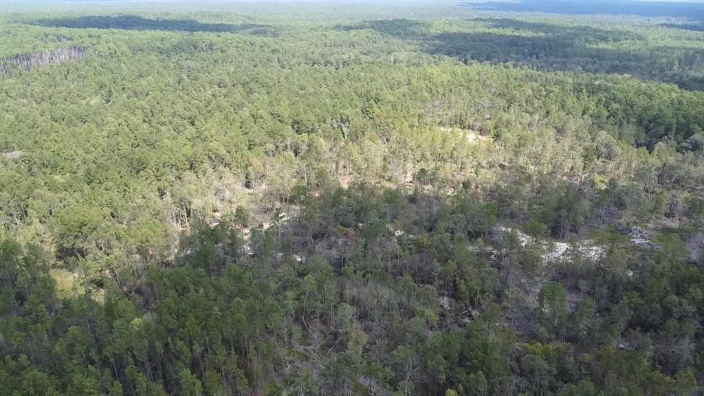 TBD County Road 12, Zavalla, Texas image 33