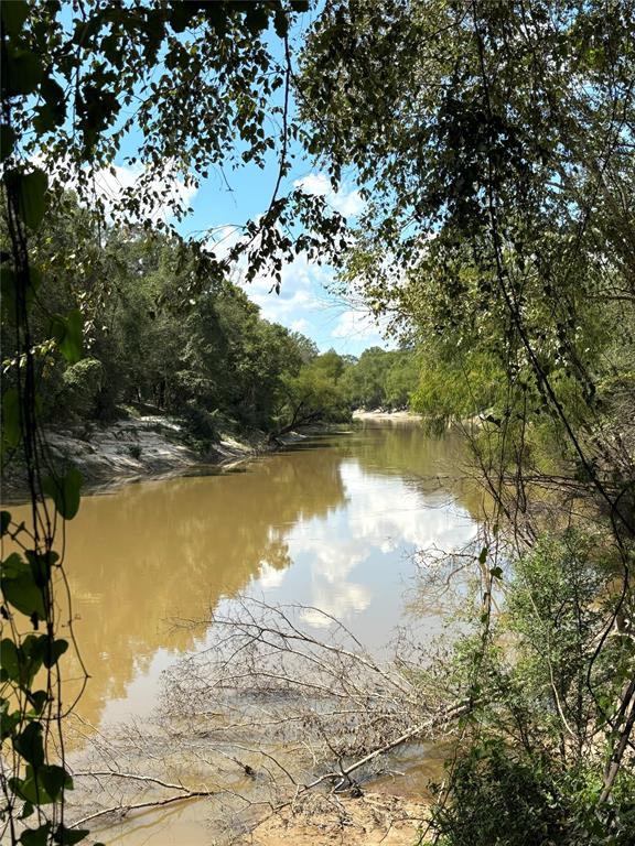 TBD County Road 12, Zavalla, Texas image 5