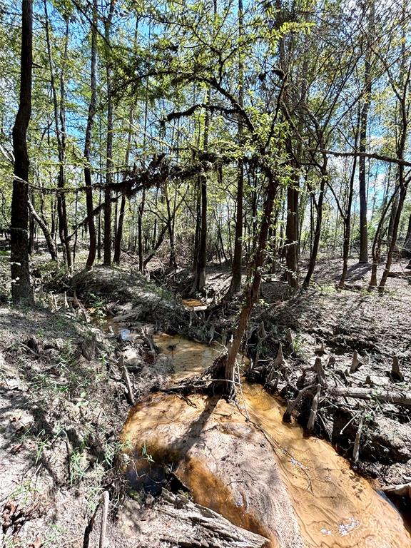 TBD County Road 12, Zavalla, Texas image 15