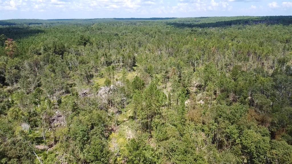 TBD County Road 12, Zavalla, Texas image 31