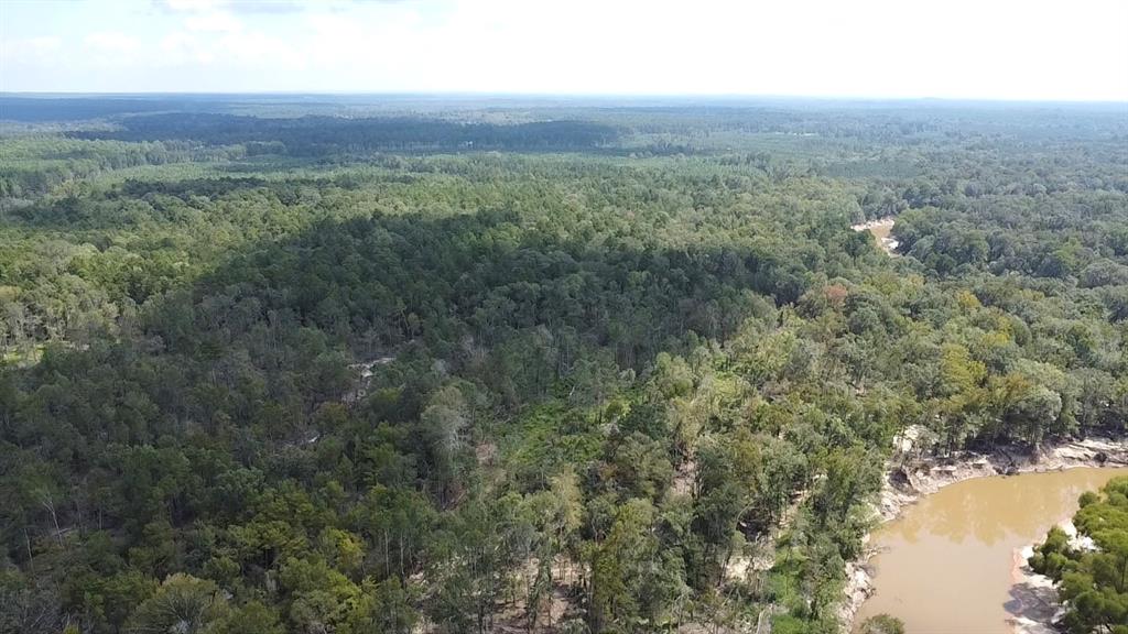 TBD County Road 12, Zavalla, Texas image 36