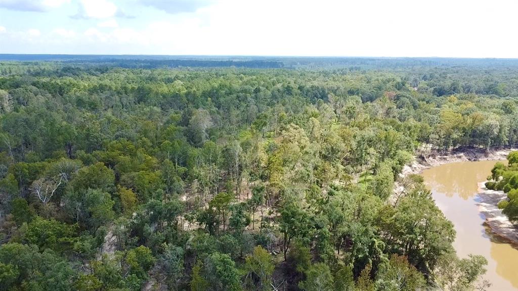 TBD County Road 12, Zavalla, Texas image 37