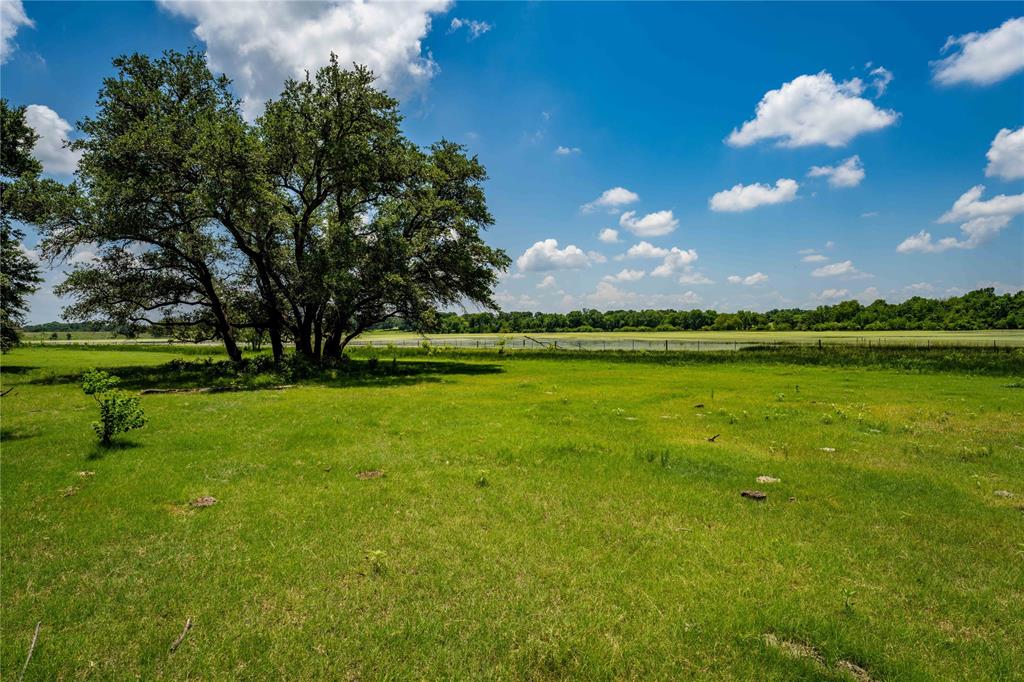 9517 Bauer Road, Fayetteville, Texas image 4