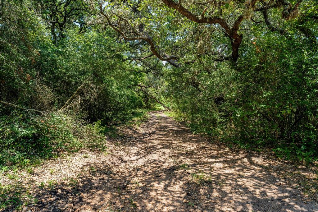 9517 Bauer Road, Fayetteville, Texas image 8