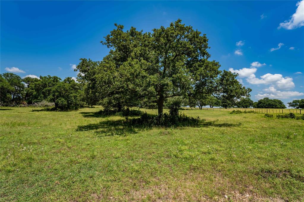 9517 Bauer Road, Fayetteville, Texas image 9