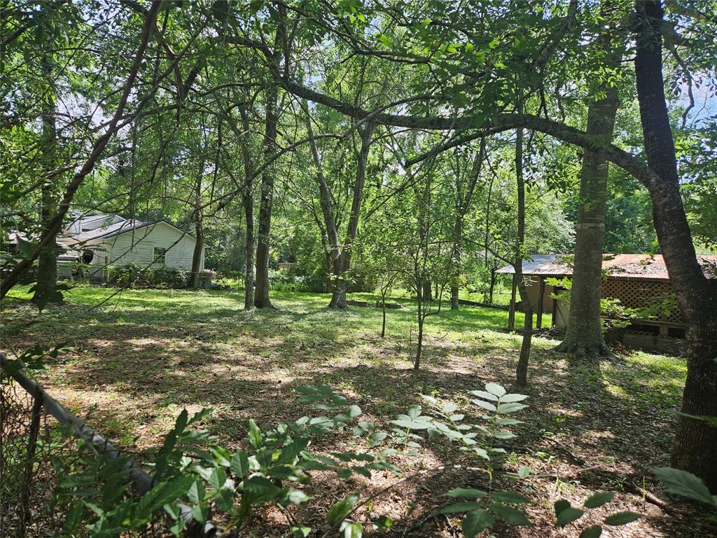 0000 Tbd Chickasaw, Conroe, Texas image 5