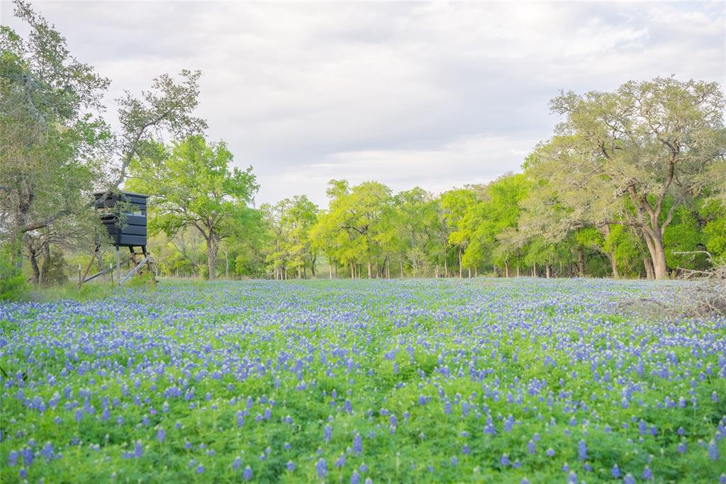 2810 Bridlewood Ranches Drive, San Marcos, Texas image 37