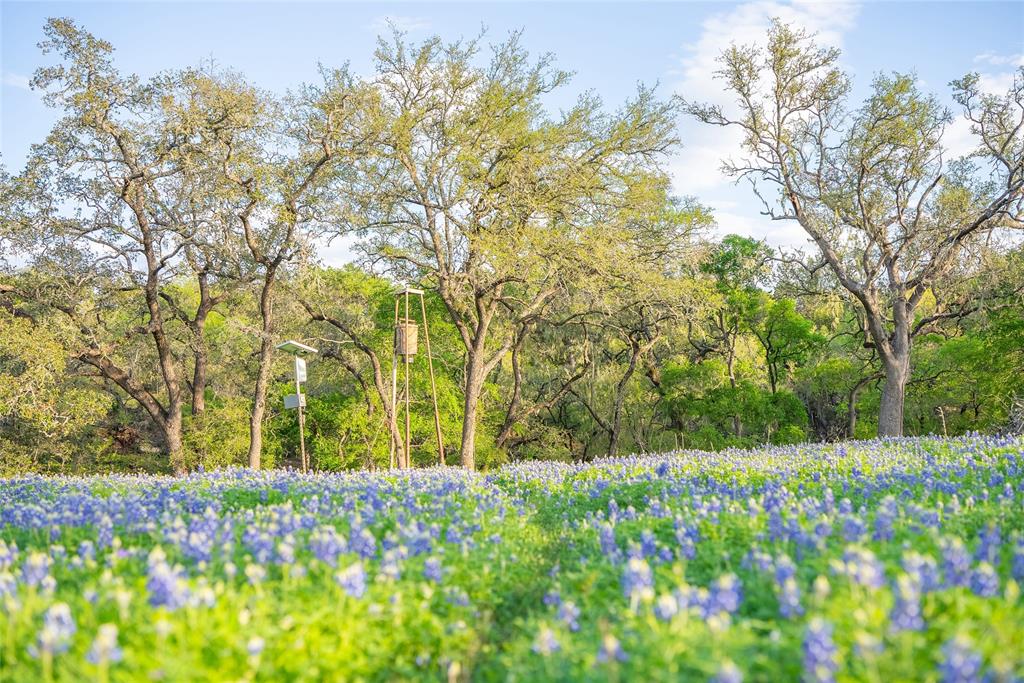 2810 Bridlewood Ranches Drive, San Marcos, Texas image 49