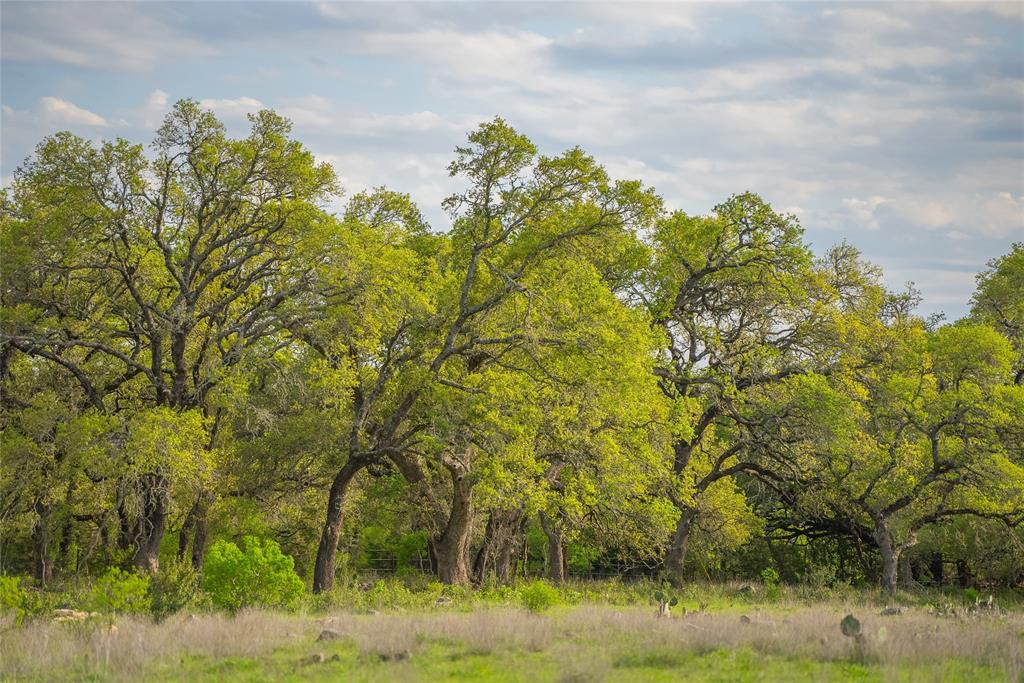 2810 Bridlewood Ranches Drive, San Marcos, Texas image 46