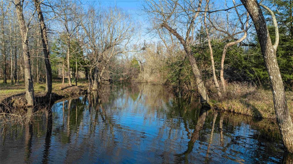 15017 Wood Duck Lane, North Zulch, Texas image 45