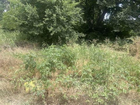 Vacant Land For Sale - 114 E Cedar Street<br/> Grayson County, Whitewright, TX 75491