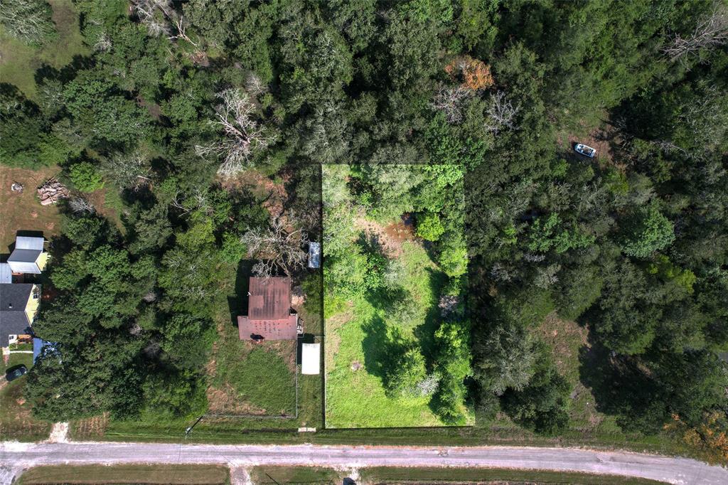 97 Oak Hill Drive, Huntsville, Texas image 14