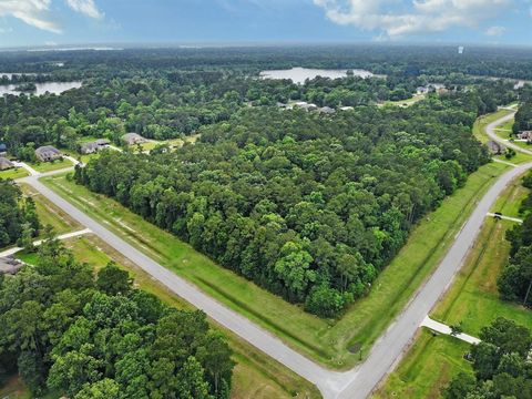 Photo of 522 N Commons View Drive, Houston, TX 77336 (MLS # 51605551)