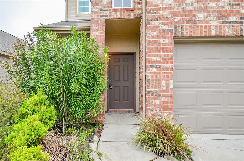 24902 Alberti Sonata Drive, Katy, Texas image 4
