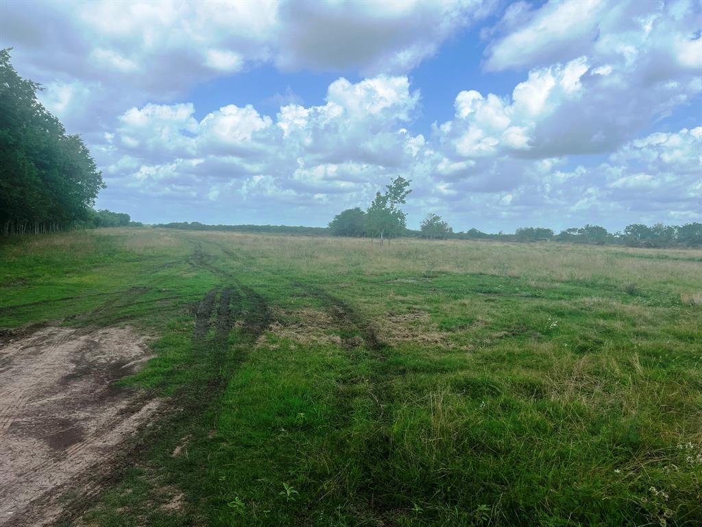 8925 Kerr Rd Rd, Pattison, Texas image 10