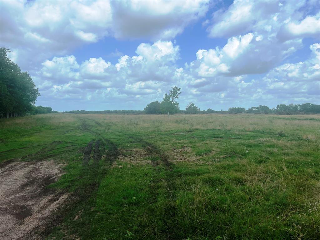 8925 Kerr Rd Rd, Pattison, Texas image 7
