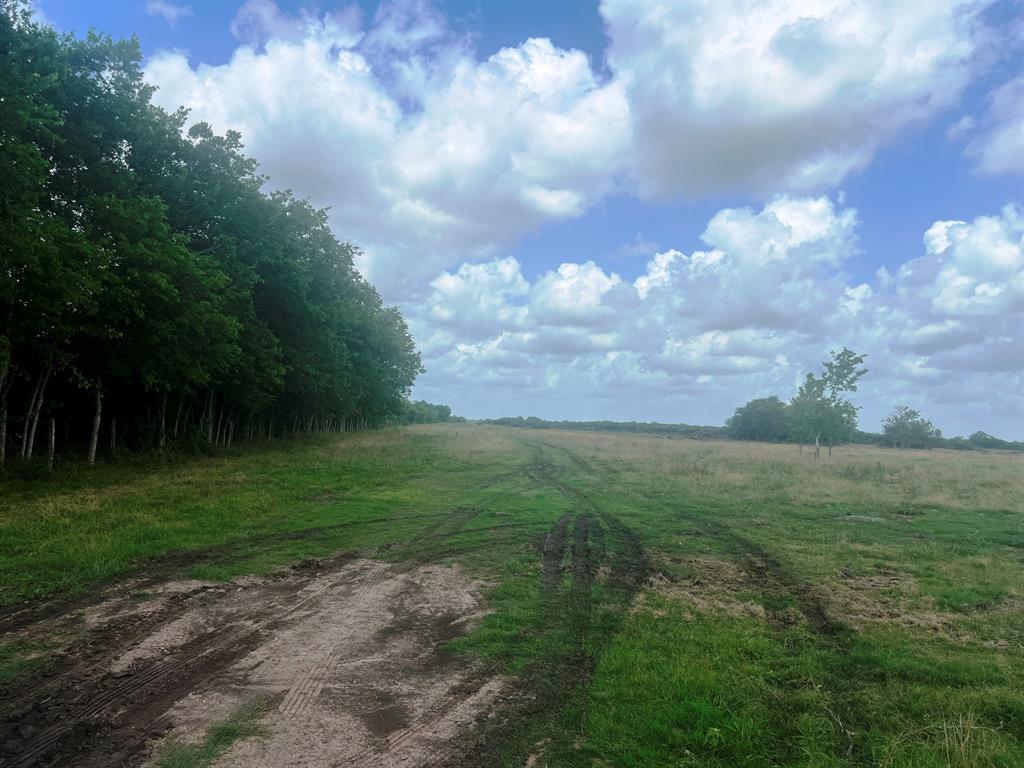 8925 Kerr Rd Rd, Pattison, Texas image 6