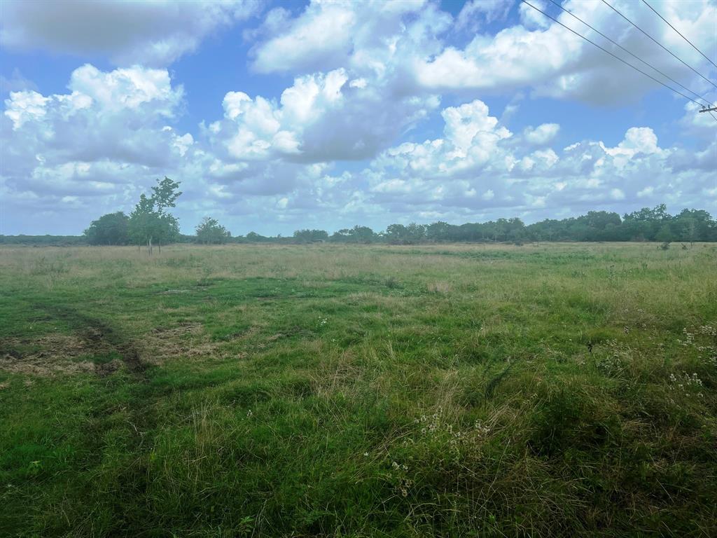 8925 Kerr Rd Rd, Pattison, Texas image 9