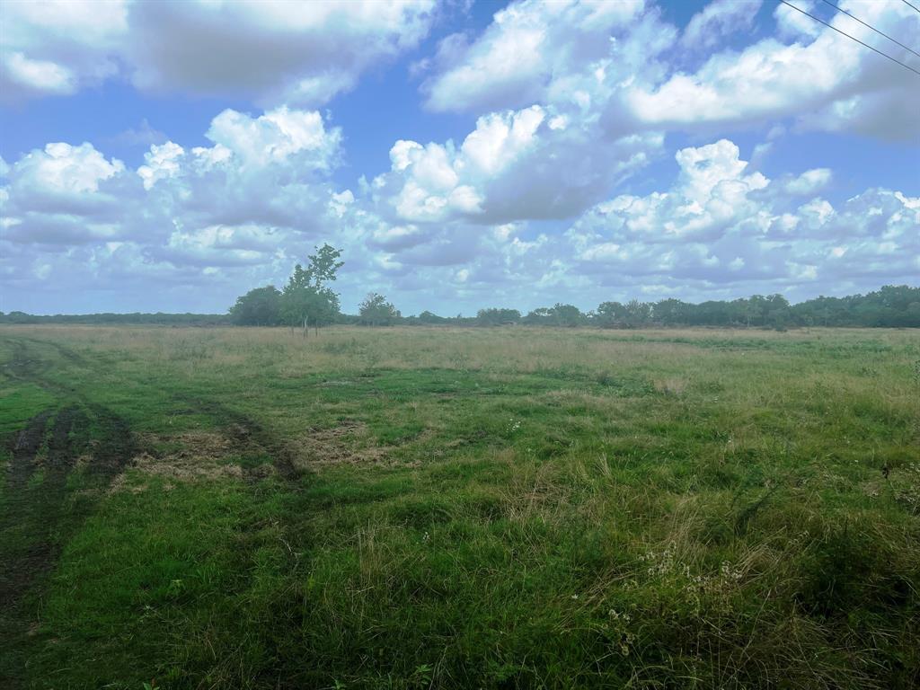 8925 Kerr Rd Rd, Pattison, Texas image 4