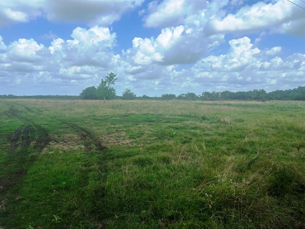 8925 Kerr Rd Rd, Pattison, Texas image 8