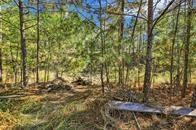 27684 Rio Blanco Drive, Splendora, Texas image 38