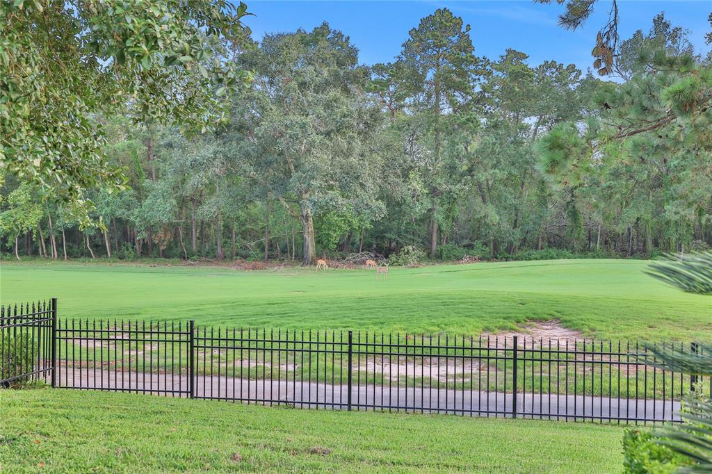 2814 S Cotswold Manor Drive, Kingwood, Texas image 50