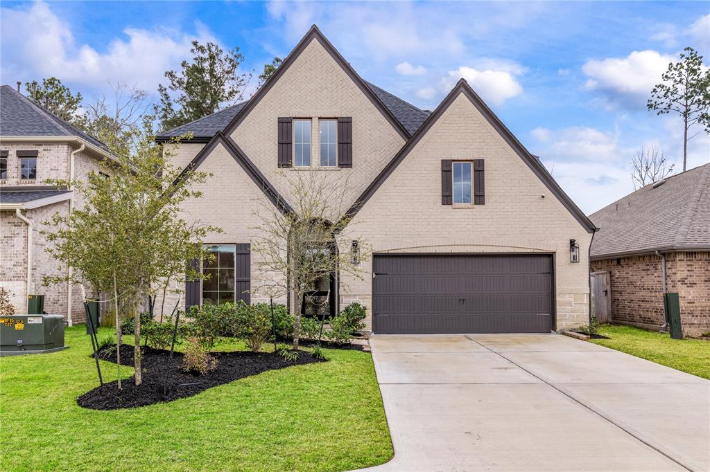 318 Mistletoe Ridge Court, Montgomery, Texas image 1