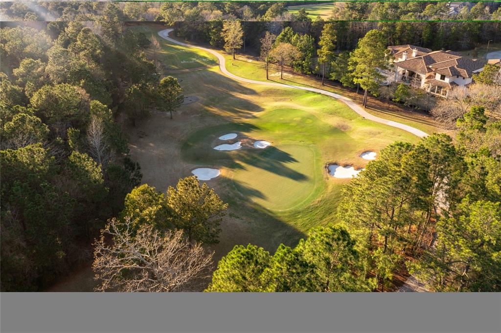 318 Mistletoe Ridge Court, Montgomery, Texas image 44