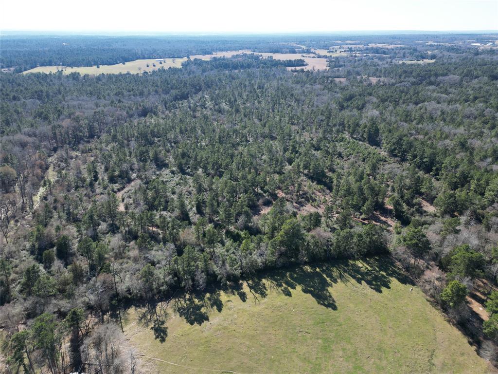 33 Acres Fm-811, Centerville, Texas image 37
