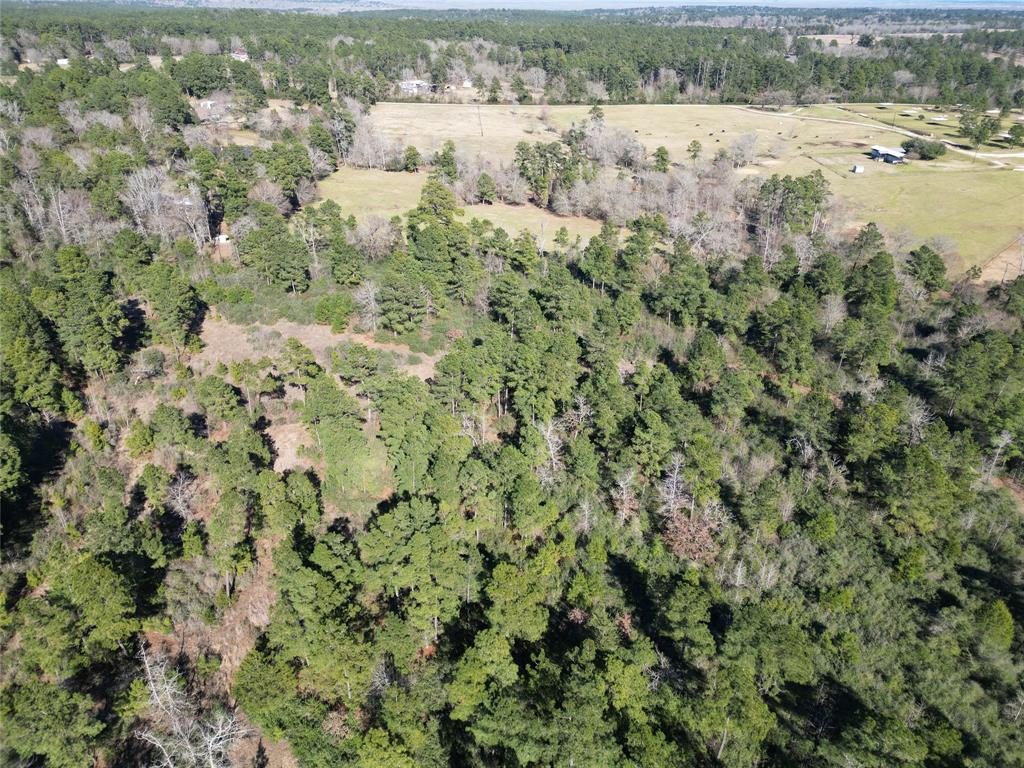 33 Acres Fm-811, Centerville, Texas image 23