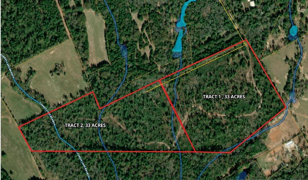 33 Acres Fm-811, Centerville, Texas image 9