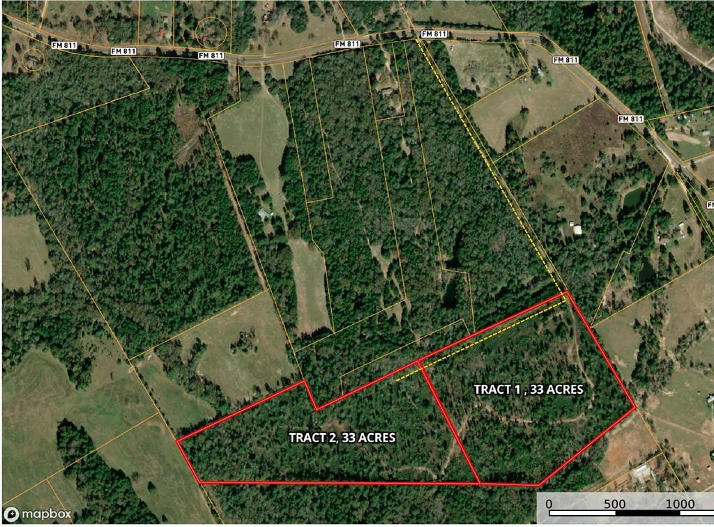 33 Acres Fm-811, Centerville, Texas image 5
