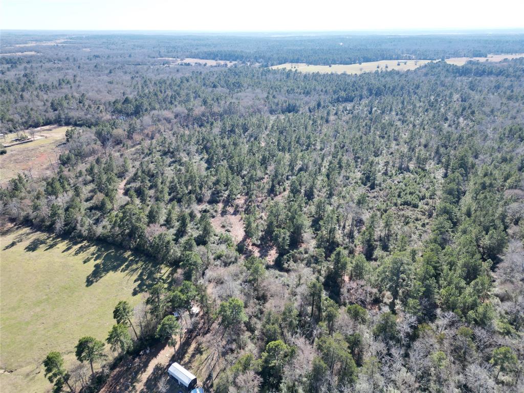 33 Acres Fm-811, Centerville, Texas image 25