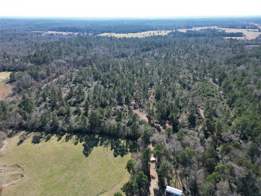 33 Acres Fm-811, Centerville, Texas image 35