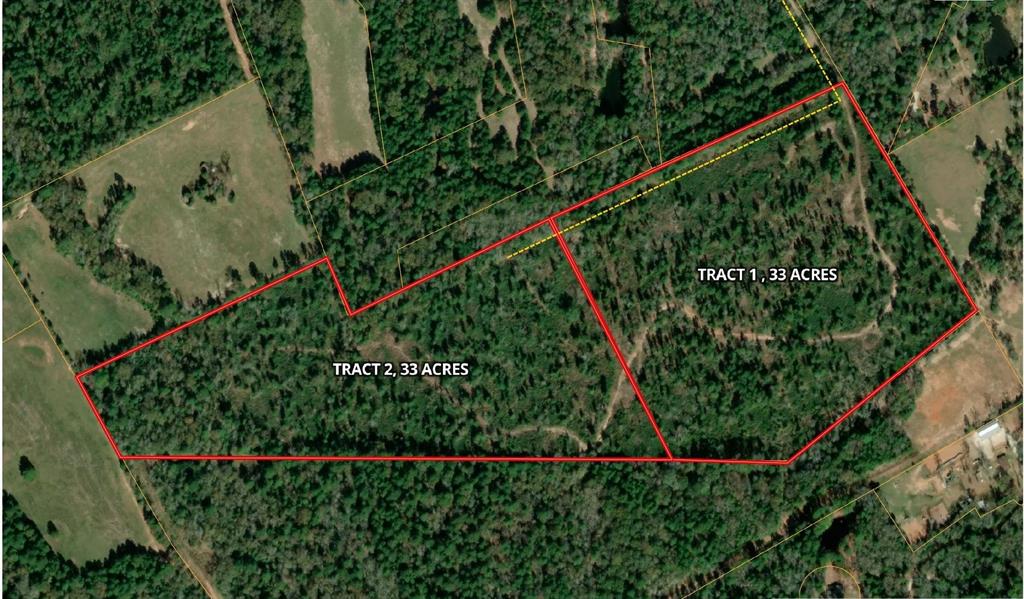 33 Acres Fm-811, Centerville, Texas image 17