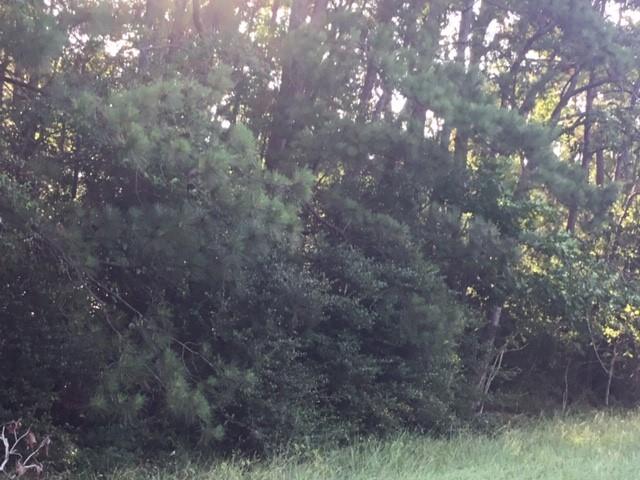 000 Navaho Trail, Onalaska, Texas image 7
