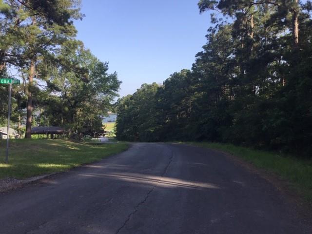 000 Navaho Trail, Onalaska, Texas image 10
