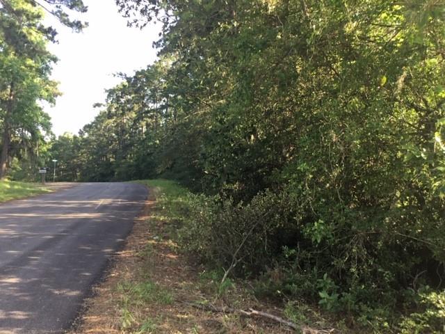 000 Navaho Trail, Onalaska, Texas image 3