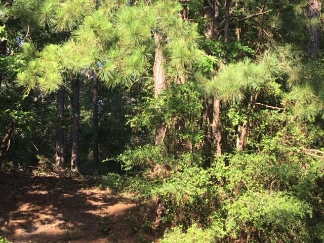 000 Navaho Trail, Onalaska, Texas image 4