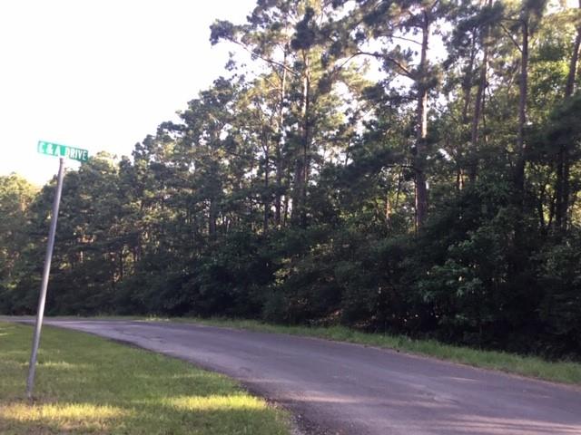 000 Navaho Trail, Onalaska, Texas image 8