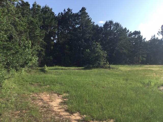 000 Navaho Trail, Onalaska, Texas image 2