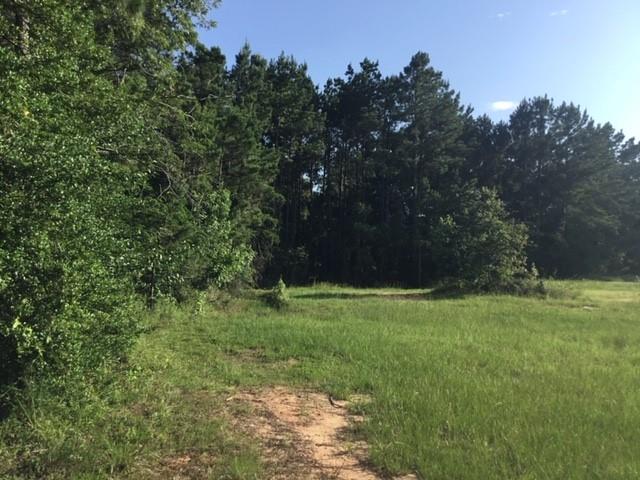 000 Navaho Trail, Onalaska, Texas image 1